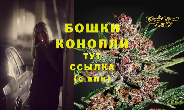 apvp Дмитров