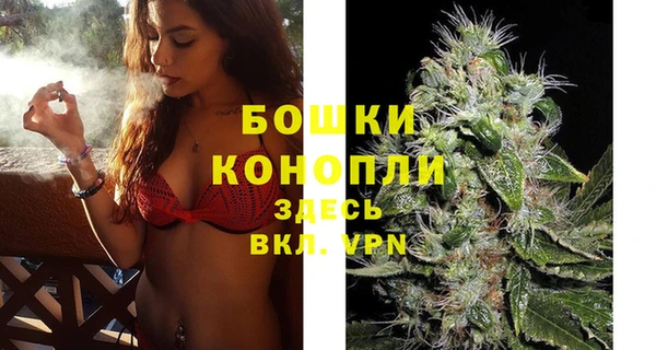 apvp Дмитров