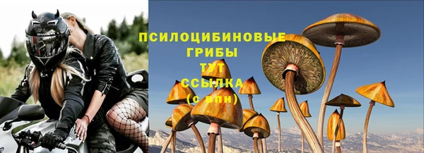 apvp Дмитров