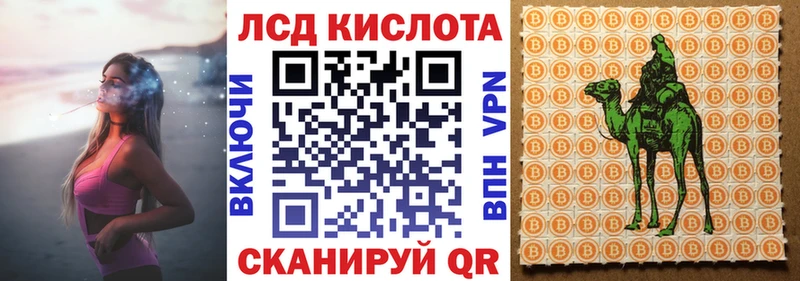 Наркотические марки 1500мкг  Купить  Николаевск 